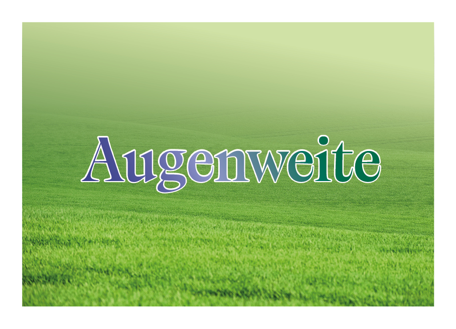 12 Worte Augenweite